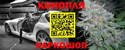 сатива Бийск